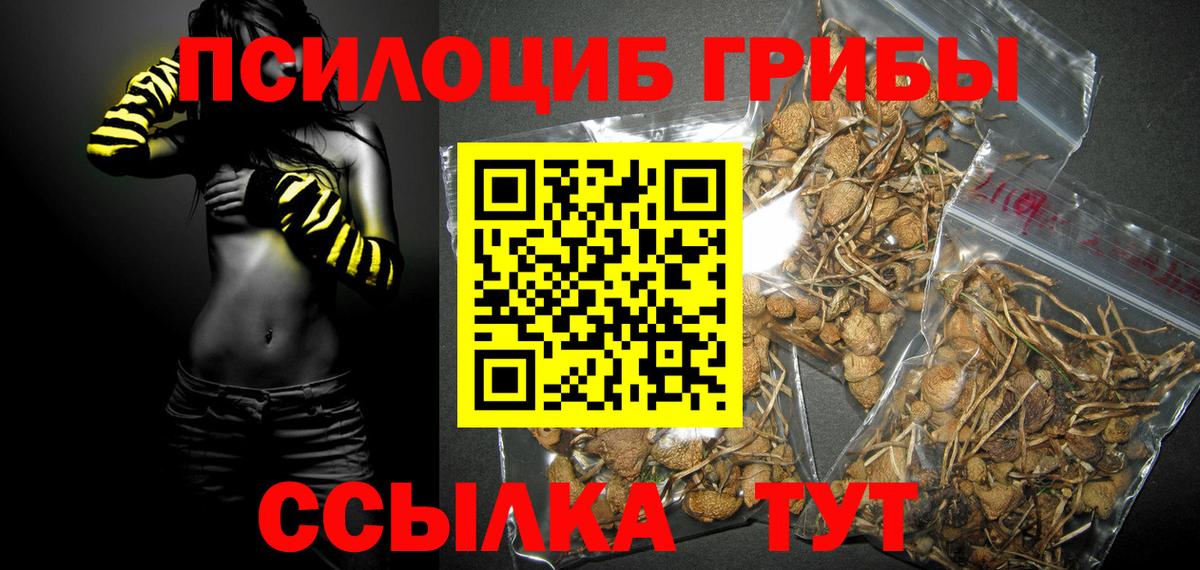 Псилоцибиновые грибы мицелий Коломна